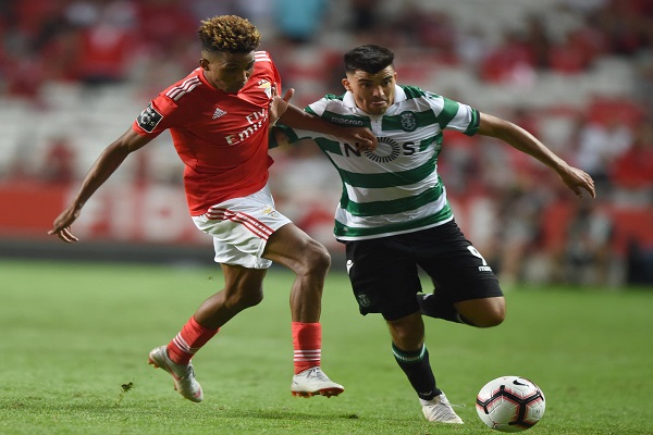 足球合同中的附加条款和特殊条款在交易中起什么作用？